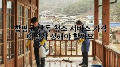 함평군 단독 청소 서비스 가격, 어떻게 정해야 할까요?